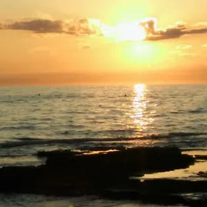 Staleta Tartuf , Livade Kroatien